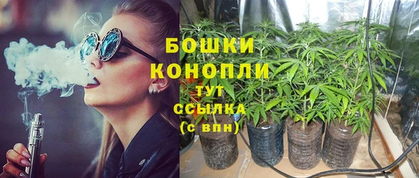 гидропоника Алзамай