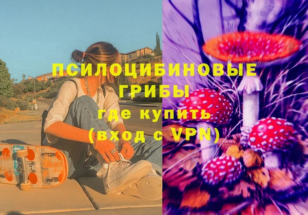 СК Алексеевка
