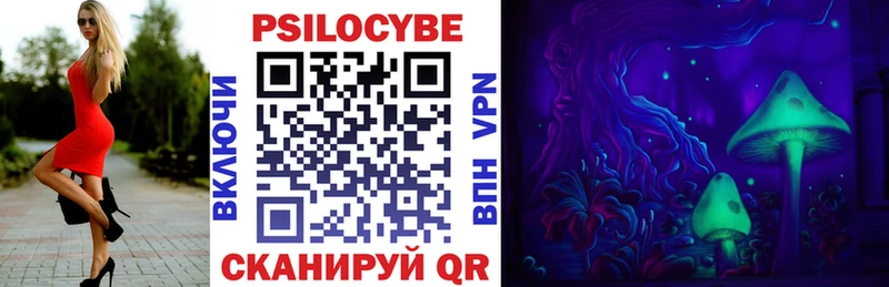 darknet наркотические препараты Северская Псилоцибиновые грибы прущие грибы